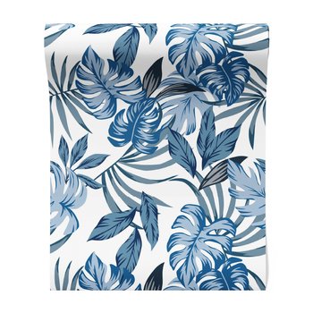 Tapeta - liście, monstera, tropikalny