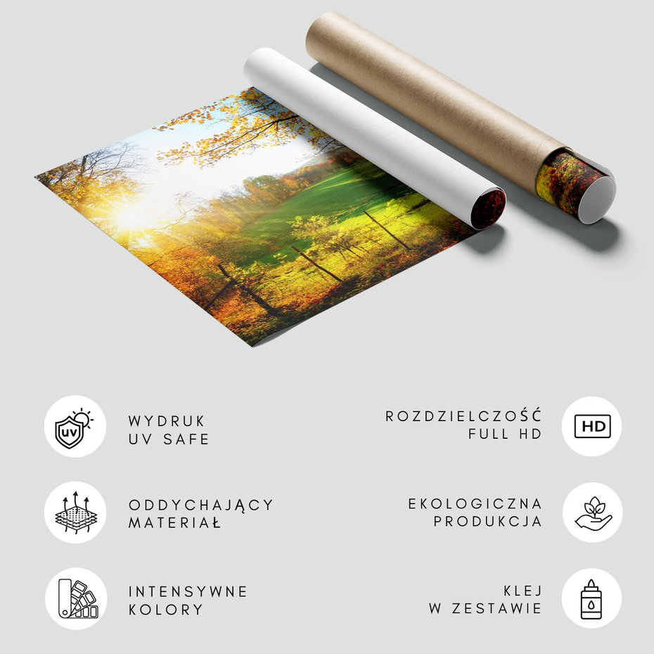 Fototapeta - jesień, krajobraz, drzewa