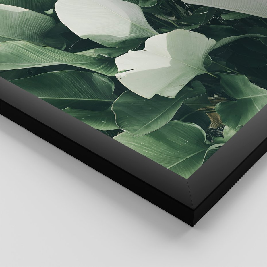 Zestaw obrazy w ramie, plakaty - liście, tropikalne, roślina - rama czarna