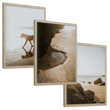 Zestaw obrazy w ramie, plakaty - plaża, morze, pies - rama drewno