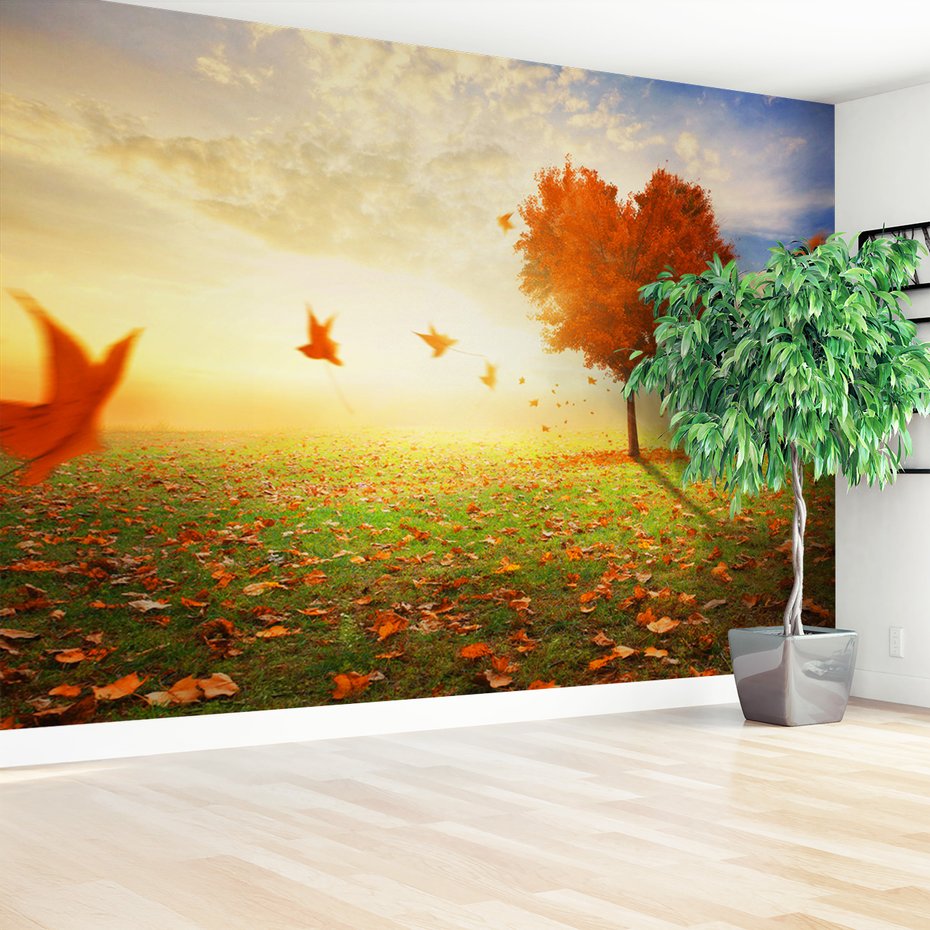 Fototapeta - jesień, drzewo, liście