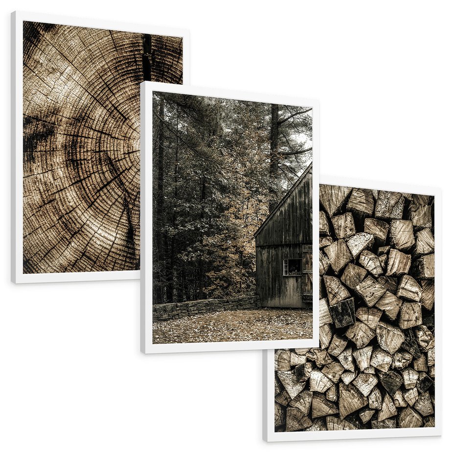 Zestaw obrazy w ramie, plakaty - drewno, kora, natura - rama biała