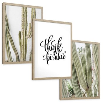 Zestaw obrazy w ramie, plakaty - kaktusy,rośliny,tekst - rama drewno