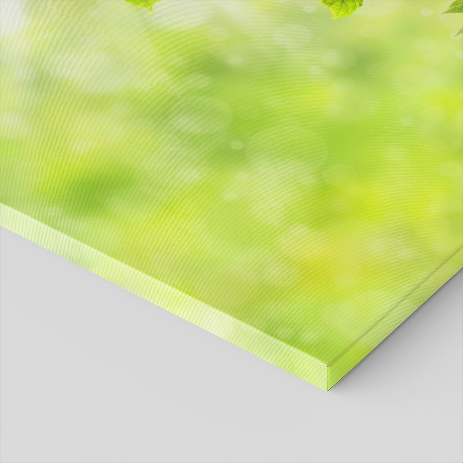 Obraz na płótnie - liście, zieleń, natura