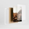 Zestaw obrazy w ramie, plakaty - liście, roślinność, brązowy - rama biała