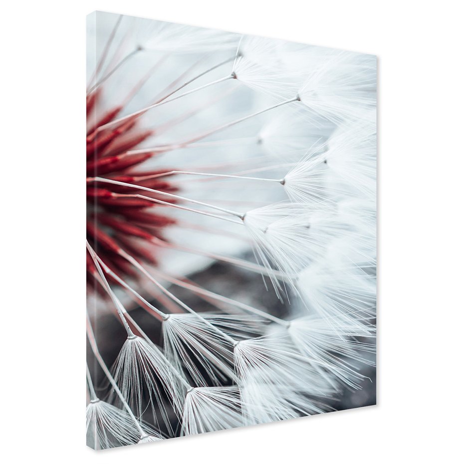 Obraz na płótnie - dmuchawiec, natura, nasiona