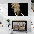 Obraz na płótnie - słoń, zwierzę, afrykański