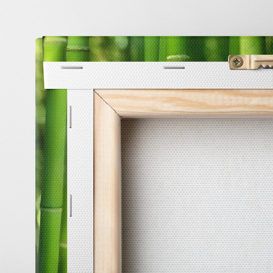 Obraz na płótnie - bambus, liście, zieleń