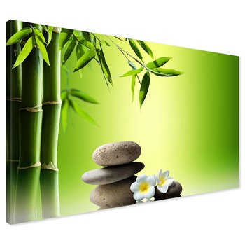 Obraz na płótnie - bambus, kamienie, kwiaty