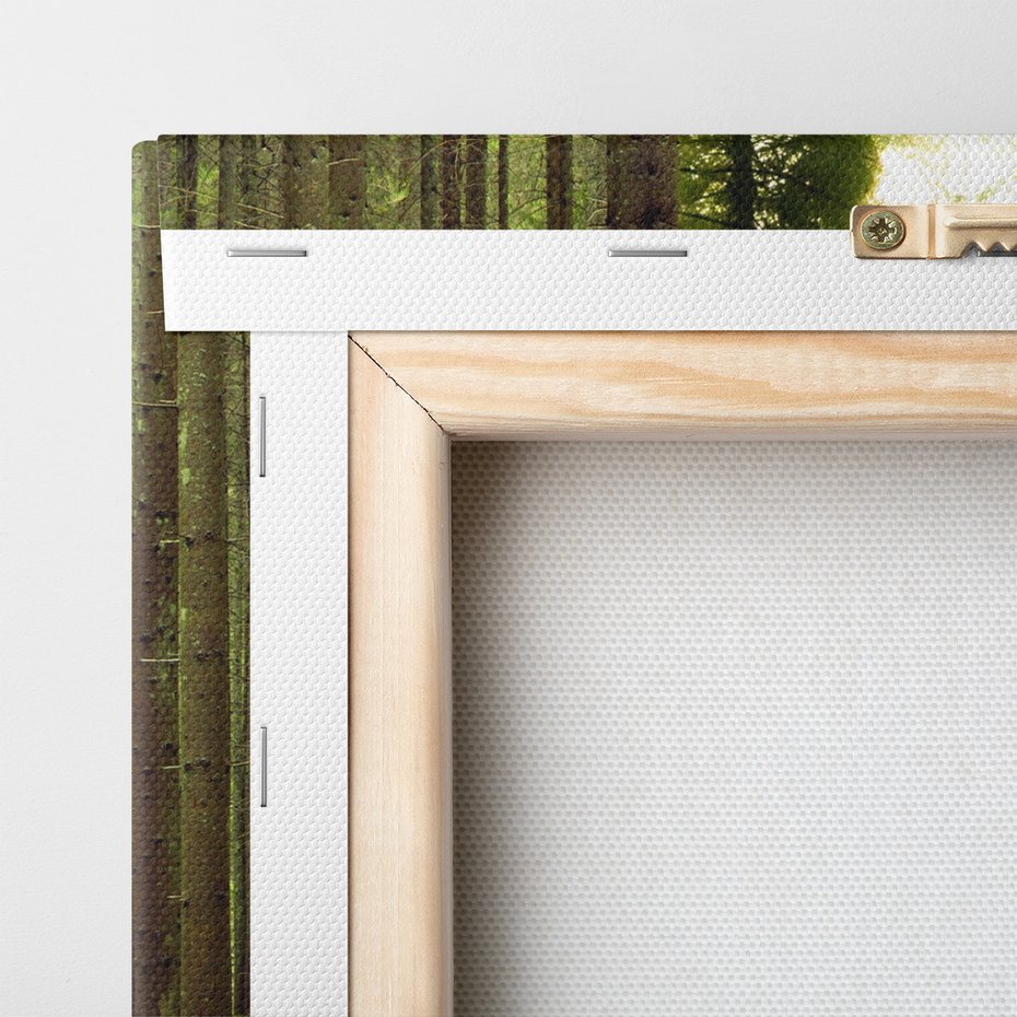 Obraz na płótnie - las, drzewa, natura