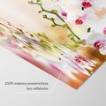 Fototapeta - orchidee, kwiaty, woda