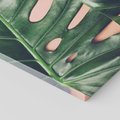 Obraz na płótnie - liście, monstera, roślina