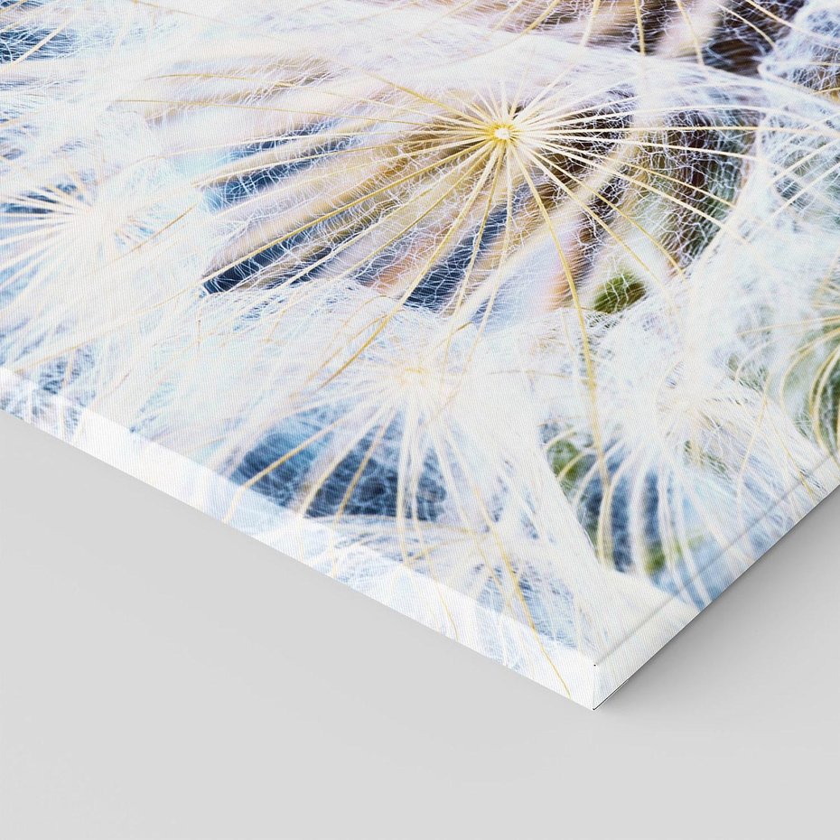 Obraz na płótnie - dandelion, nasiona, dmuchawiec