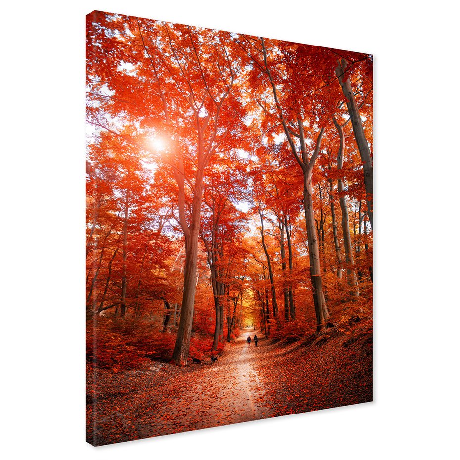 Obraz na płótnie - las, jesień, drzewa