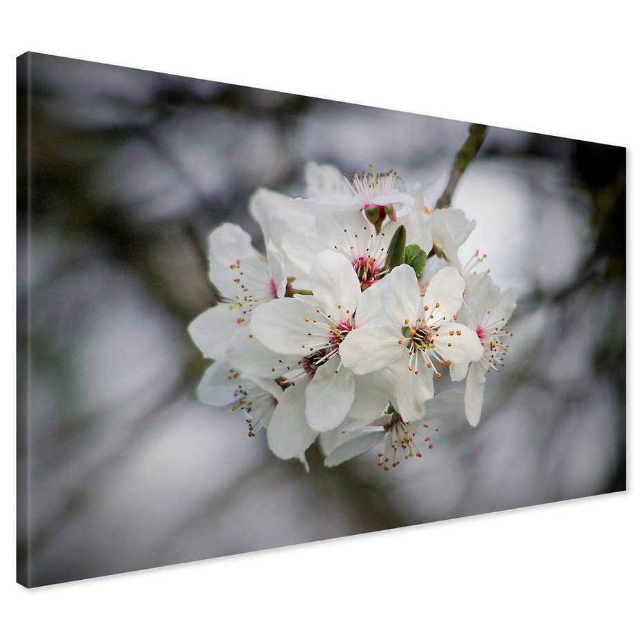 Obraz na płótnie - kwiaty, białe kwiaty, wiosna