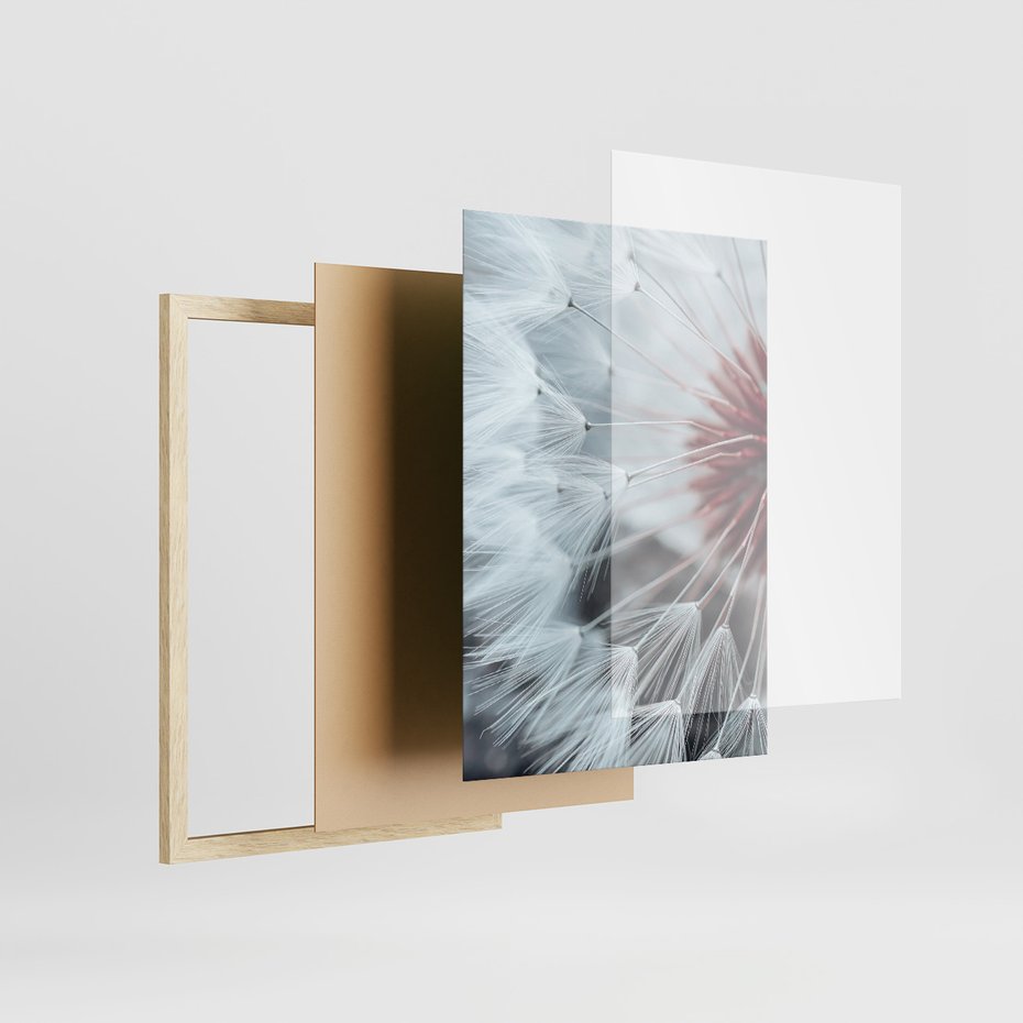 Zestaw obrazy w ramie, plakaty - dmuchawiec, natura, makro - rama drewno