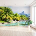 Fototapeta - palmy, woda, góry