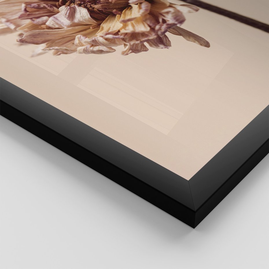 Zestaw obrazy w ramie, plakaty - kwiaty, suche, więdnięcie - rama czarna