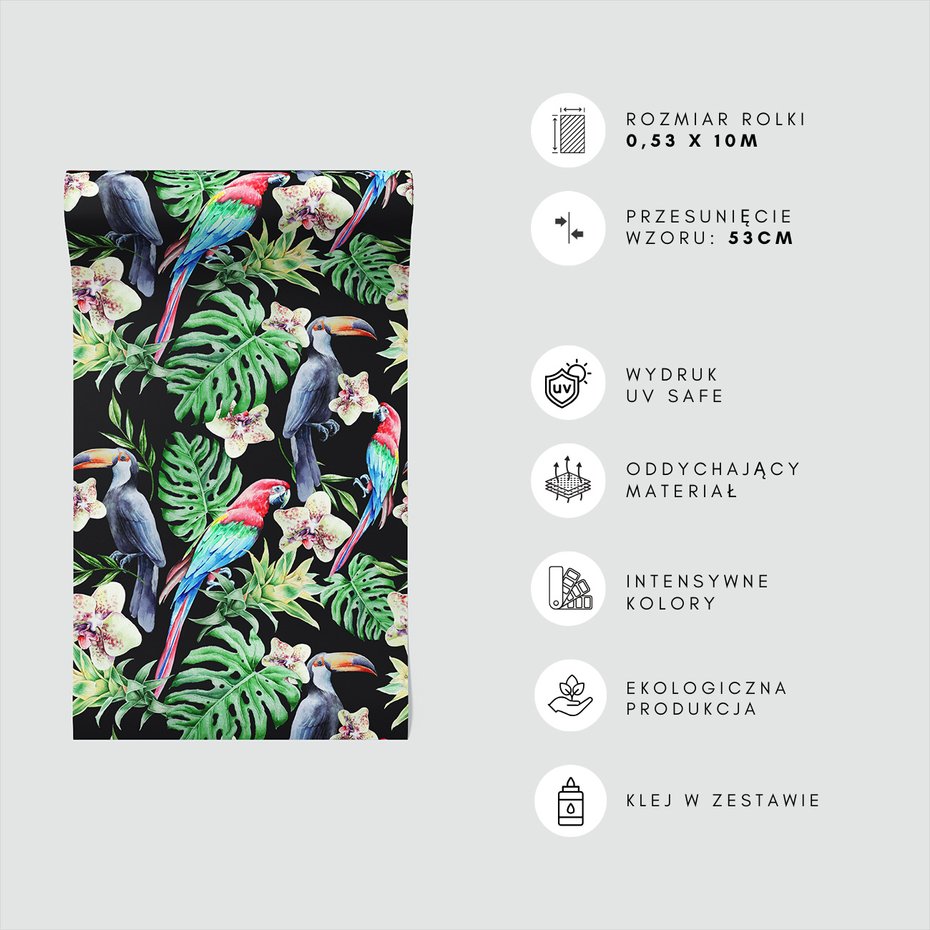 Tapeta - tukany, papugi, orchidee