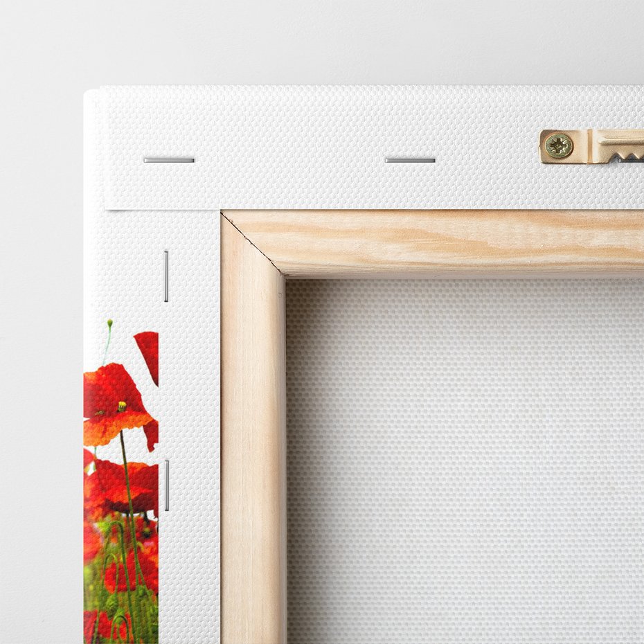 Obraz na płótnie - maki, kwiaty, lato