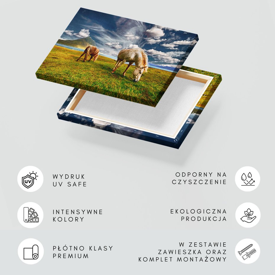 Obraz na płótnie - konie, natura, góry