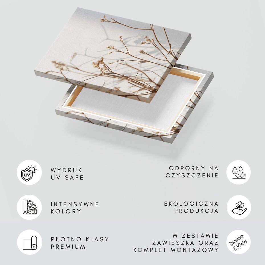 Obraz na płótnie - kwiaty, suszone, brązowe