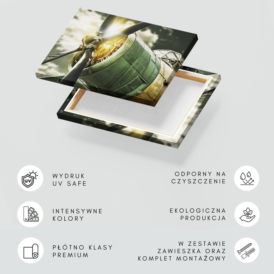 Obraz na płótnie - samolot, silnik, śmigło