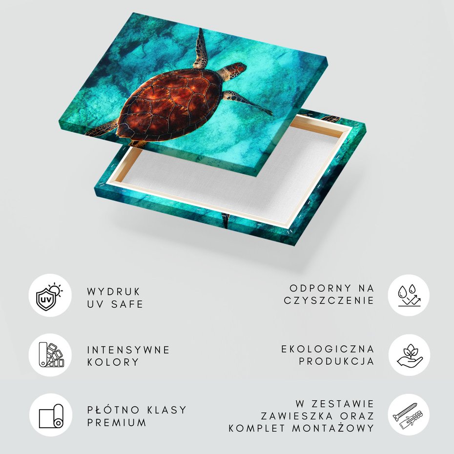 Obraz na płótnie - żółw morski, pod wodą, ocean