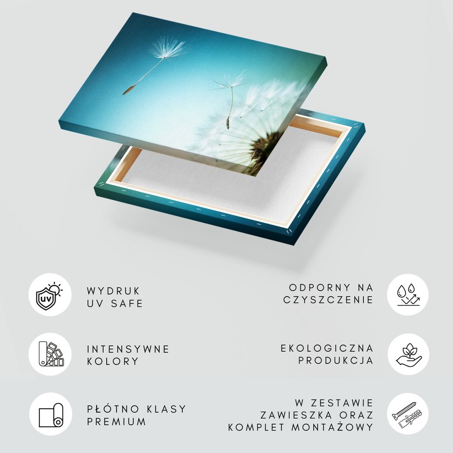 Obraz na płótnie - dmuchawiec, nasiona, natura