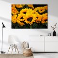 Obraz na płótnie - słoneczniki, kwiaty, żółty