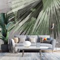 Fototapeta - beton, palmy, liście