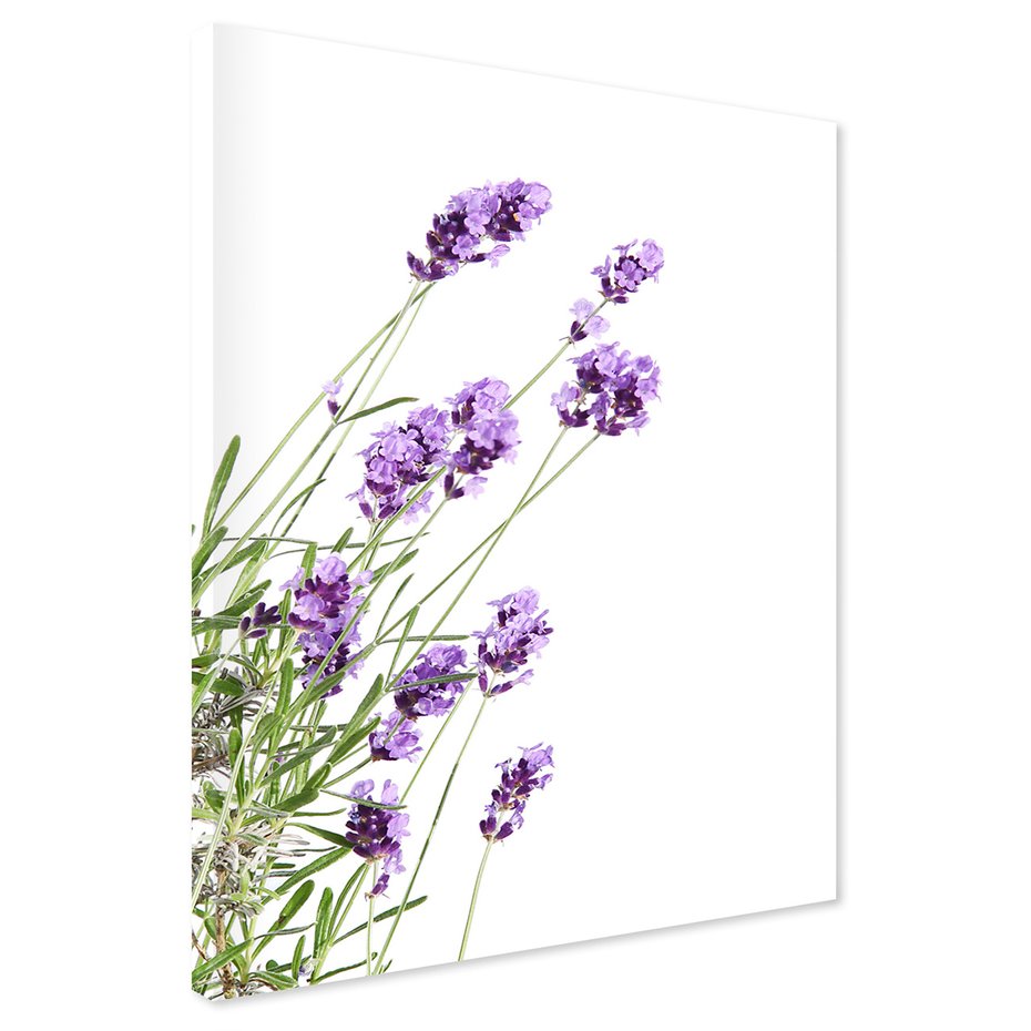 Obraz na płótnie - kwiaty, lawenda, fioletowy