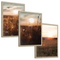 Zestaw obrazy w ramie, plakaty - pole, kwiaty, słońce - rama drewno