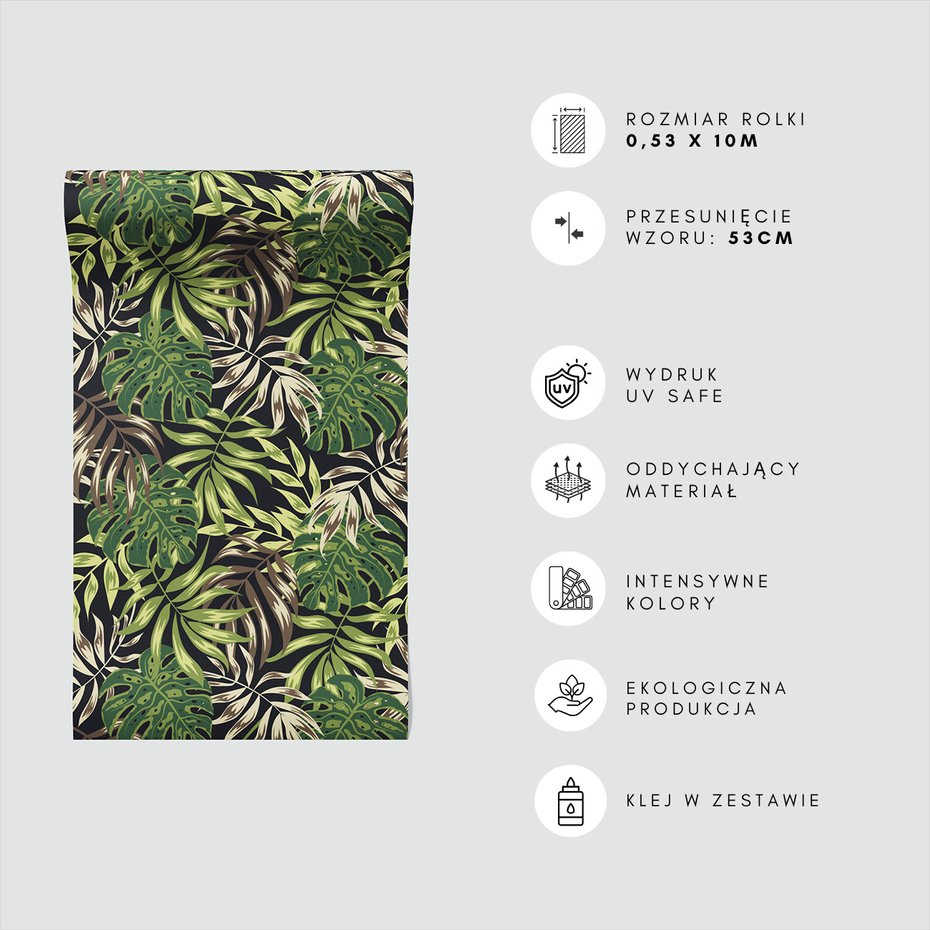 Tapeta - liście, monstera, natura