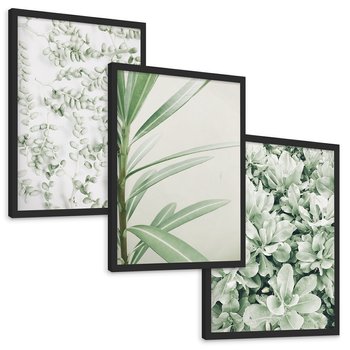 Zestaw obrazy w ramie, plakaty - liście, roślina, gałązka - rama czarna