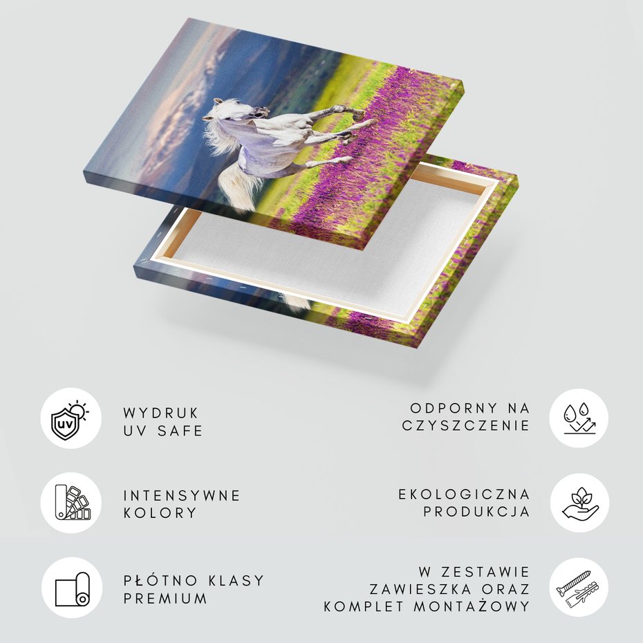 Obraz na płótnie - koń, natura, góry