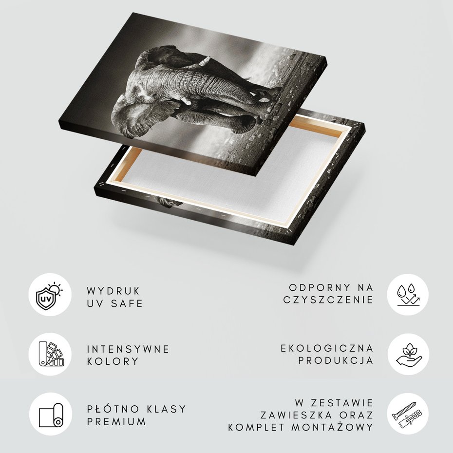 Obraz na płótnie - słoń, afrykański, ssak