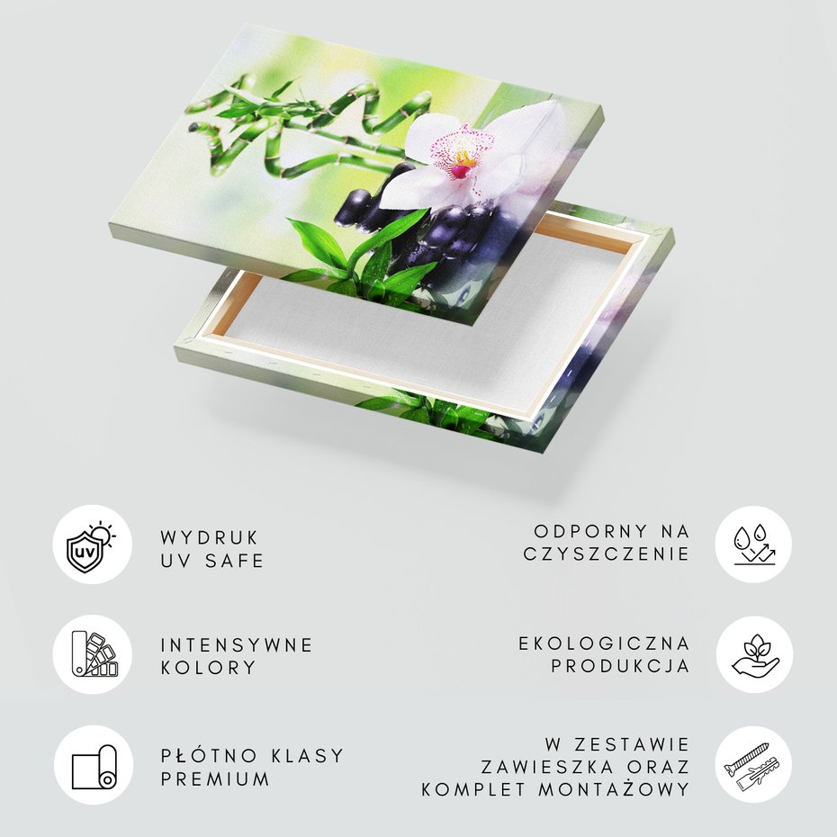 Obraz na płótnie - bambus, kamienie, orchidea