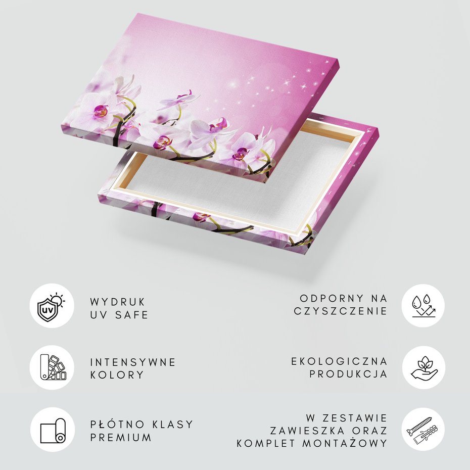Obraz na płótnie - kwiaty, orchidee, różowy