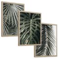 Zestaw obrazy w ramie, plakaty - liście, palmy, tropikalne - rama drewno