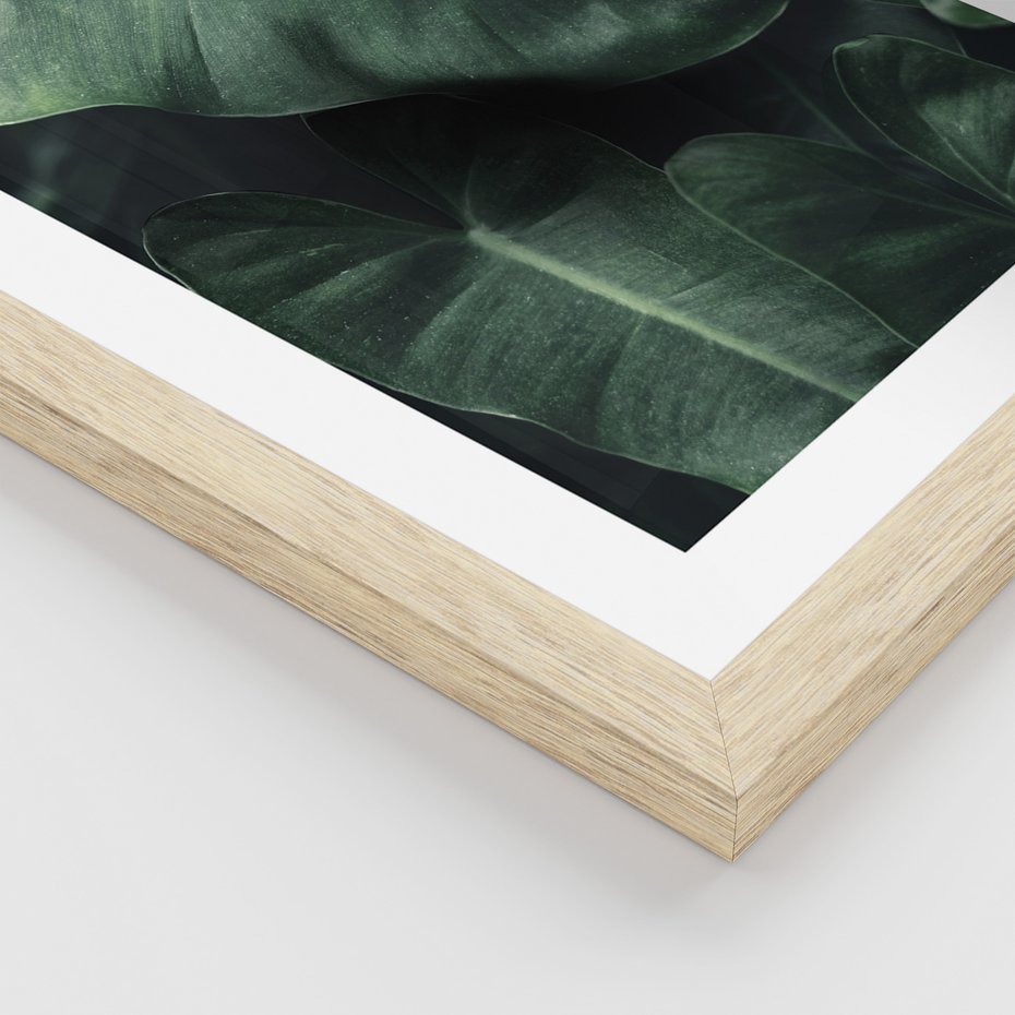 Zestaw obrazy w ramie, plakaty - liście, monstera, rośliny - rama drewno