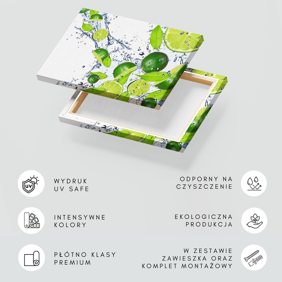 Obraz na płótnie - owoce, limonki, woda