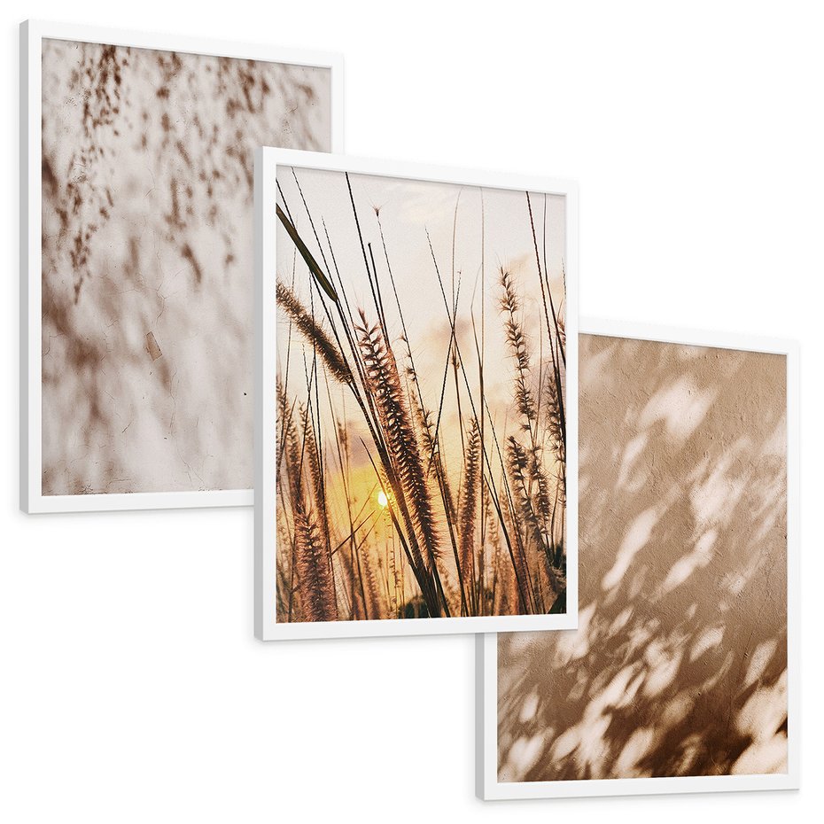 Zestaw obrazy w ramie, plakaty - cienie, trawa, abstrakcja - rama biała