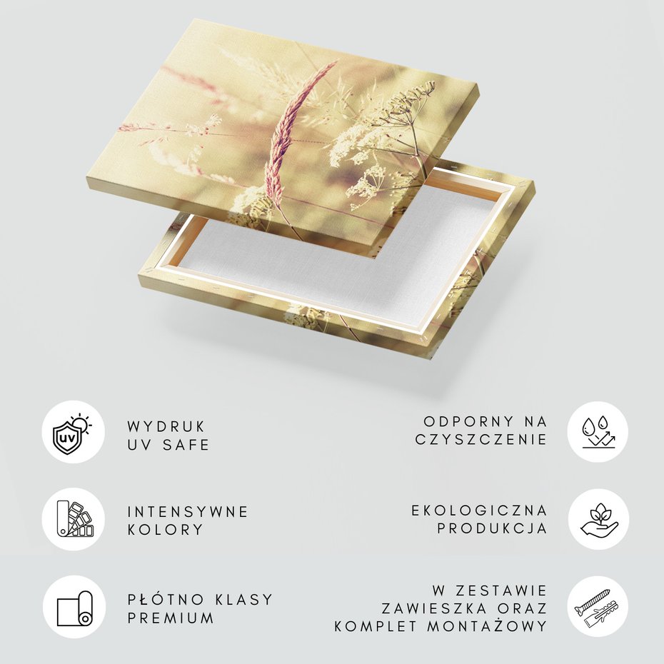 Obraz na płótnie - trawa, kwiaty, natura