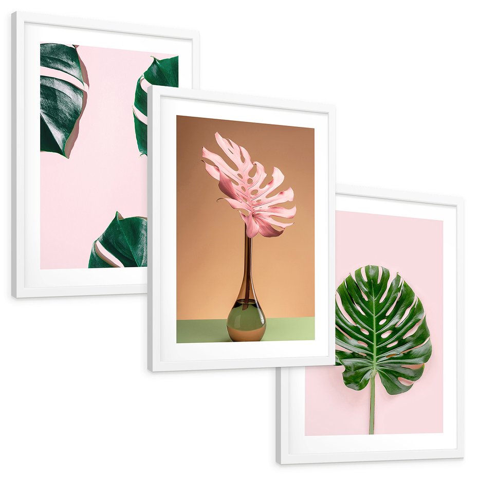 Zestaw obrazy w ramie, plakaty - monstera, liście, roślina - rama biała