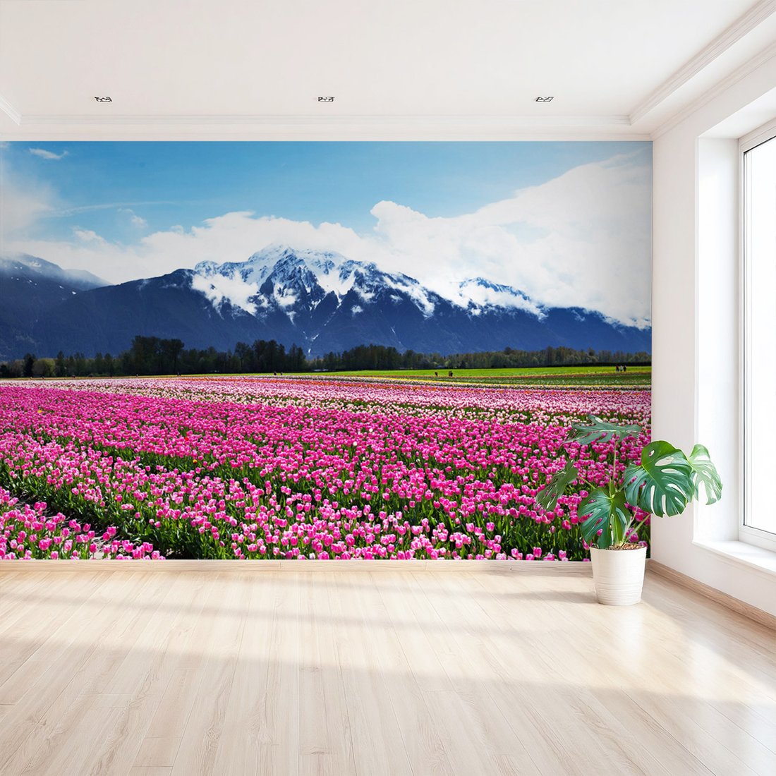 Fototapeta - kwiaty, tulipany, góry