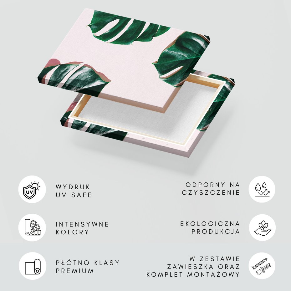 Obraz na płótnie - liście, monstera, roślina