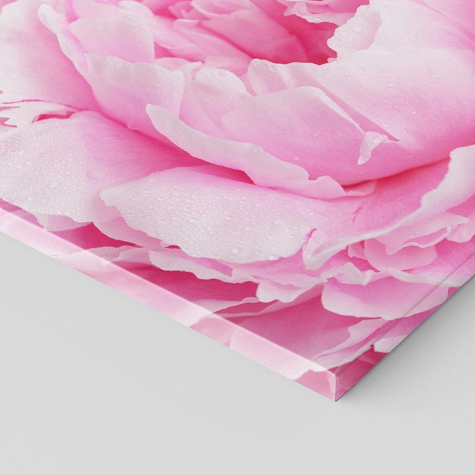 Obraz na płótnie - kwiat, płatki, różowy