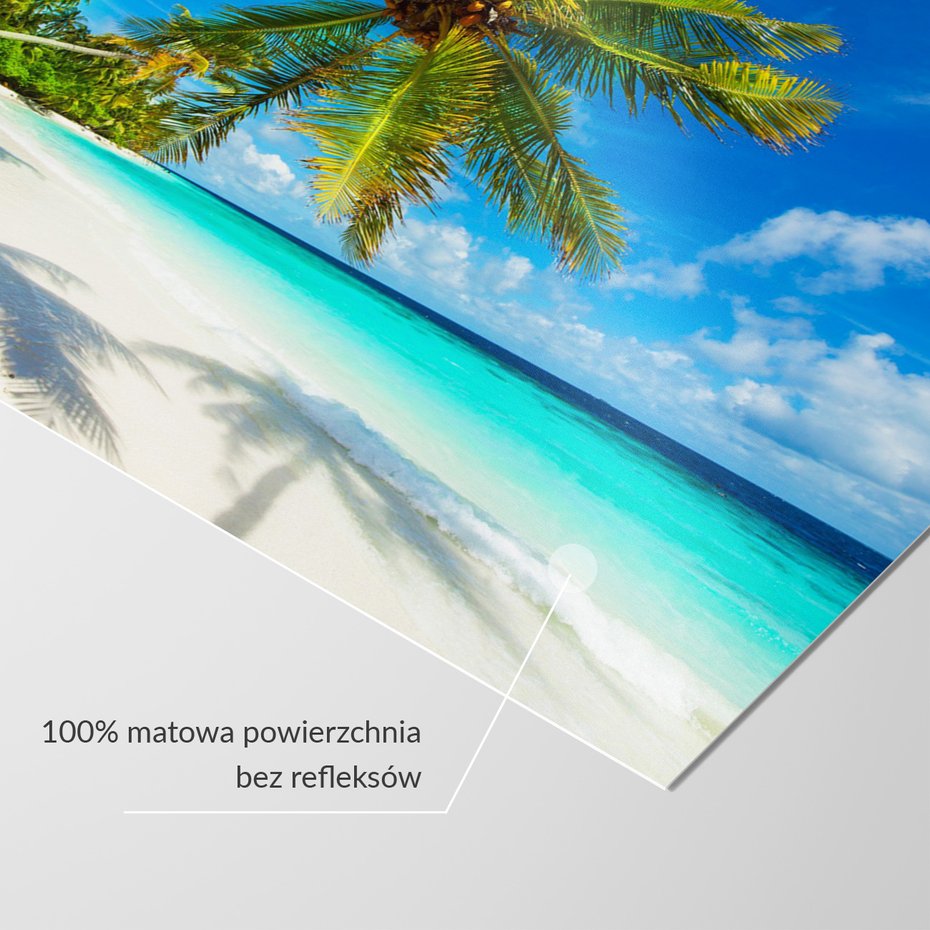 Fototapeta - palmy, plaża, morze