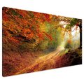 Obraz na płótnie - las, jesień, droga